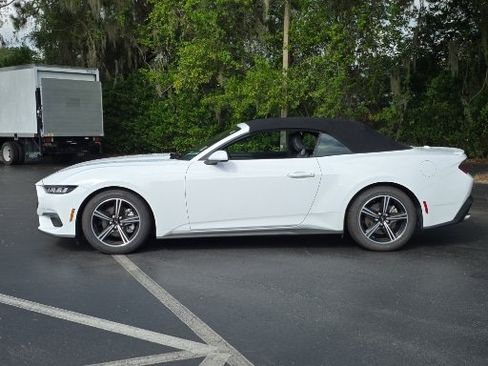 Certified 2025 Ford Mustang Premium RWD image 3