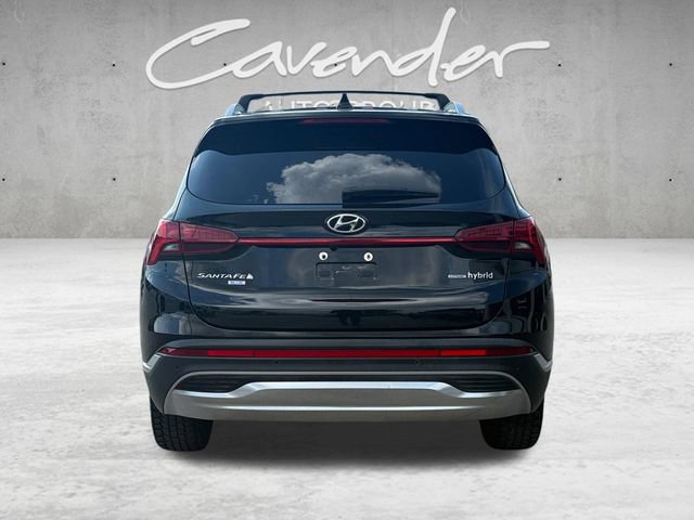 Used 2023 Hyundai Santa Fe Blue AWD/4WD image 15