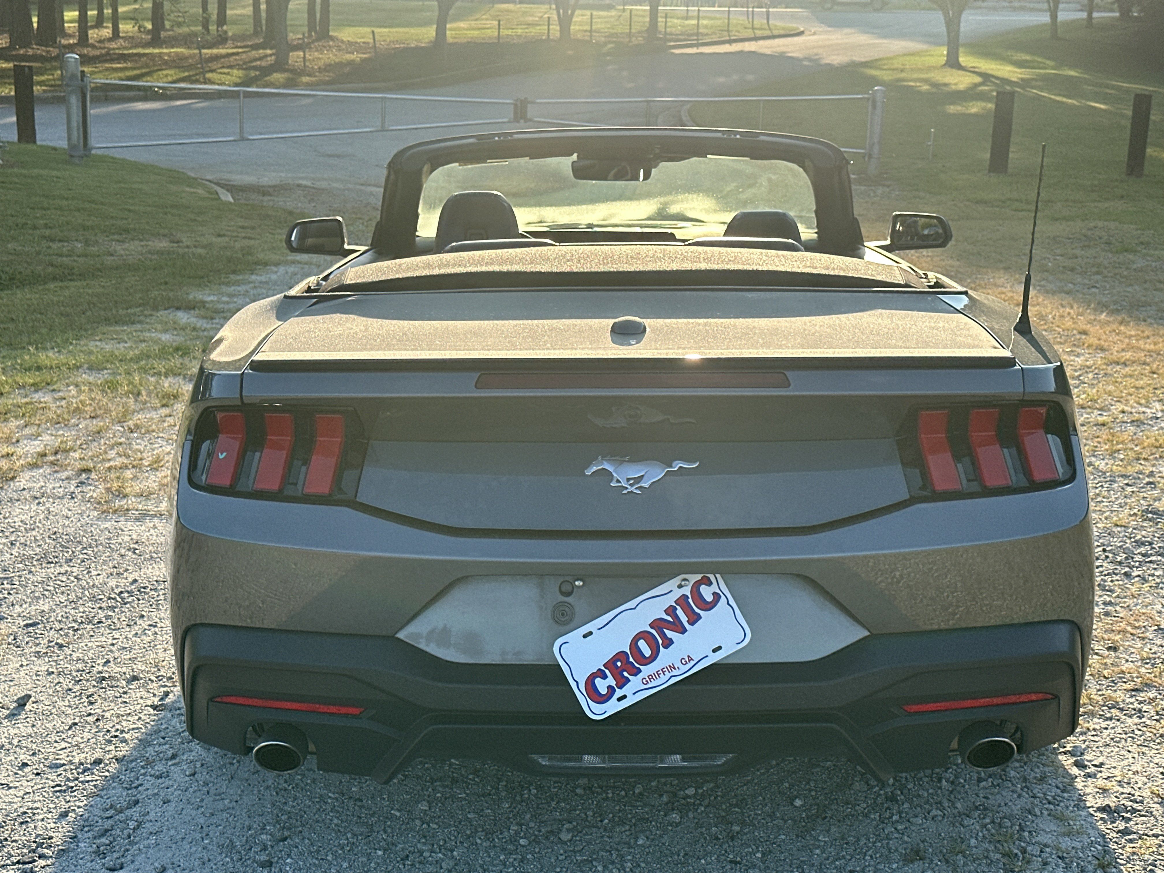 Used 2025 Ford Mustang Premium RWD image 6