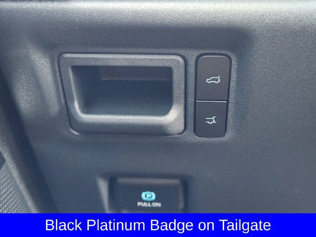 New 2027 Ford Expedition Platinum w/ Stealth Appearance Package RWD image 21