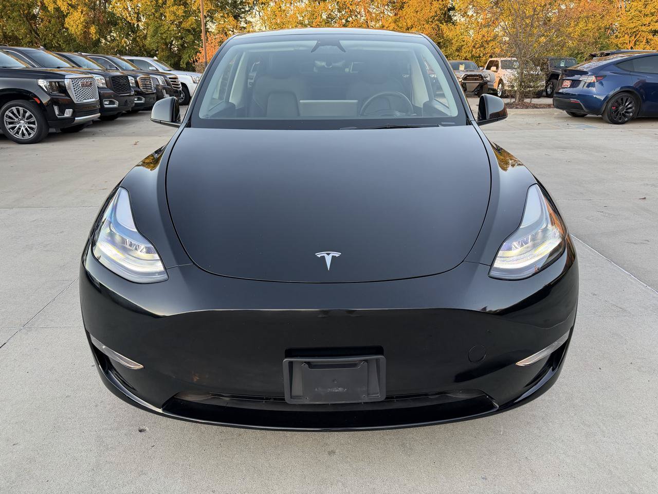 Used 2023 Tesla Model Y Long Range AWD/4WD image 2