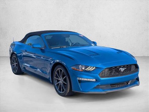 Used 2019 Ford Mustang Premium w/ Equipment Group 201A RWD image 3
