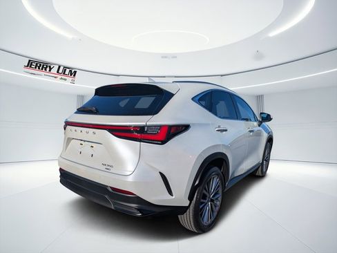 Used 2025 Lexus NX 350 AWD w/ Cold Area Package image 3