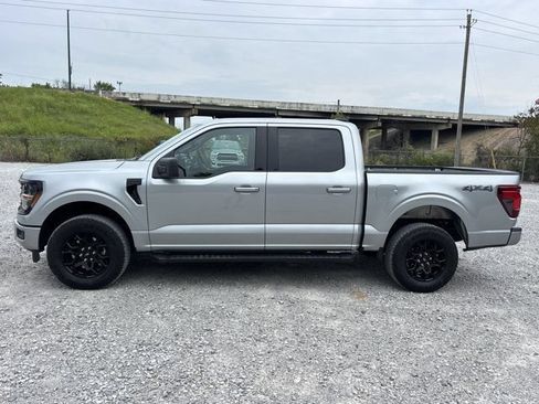 Used 2025 Ford F150 XLT w/ Equipment Group 301A Standard AWD/4WD image 7