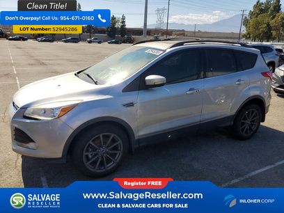 Used 2013 Ford Escape SEL
