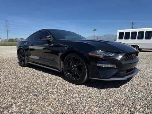 Used 2021 Ford Mustang EcoBoost w/ Equipment Group 101A image 4