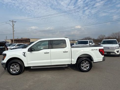 Used 2025 Ford F150 XLT w/ Equipment Group 301A Standard image 2