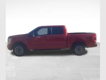 Certified 2023 Ford F150 XLT w/ Equipment Group 302A High