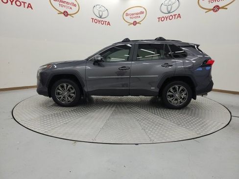 Used 2025 Toyota RAV4 XLE Premium image 5