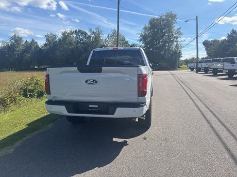 New 2025 Ford F150 STX w/ Equipment Group 200A image 8