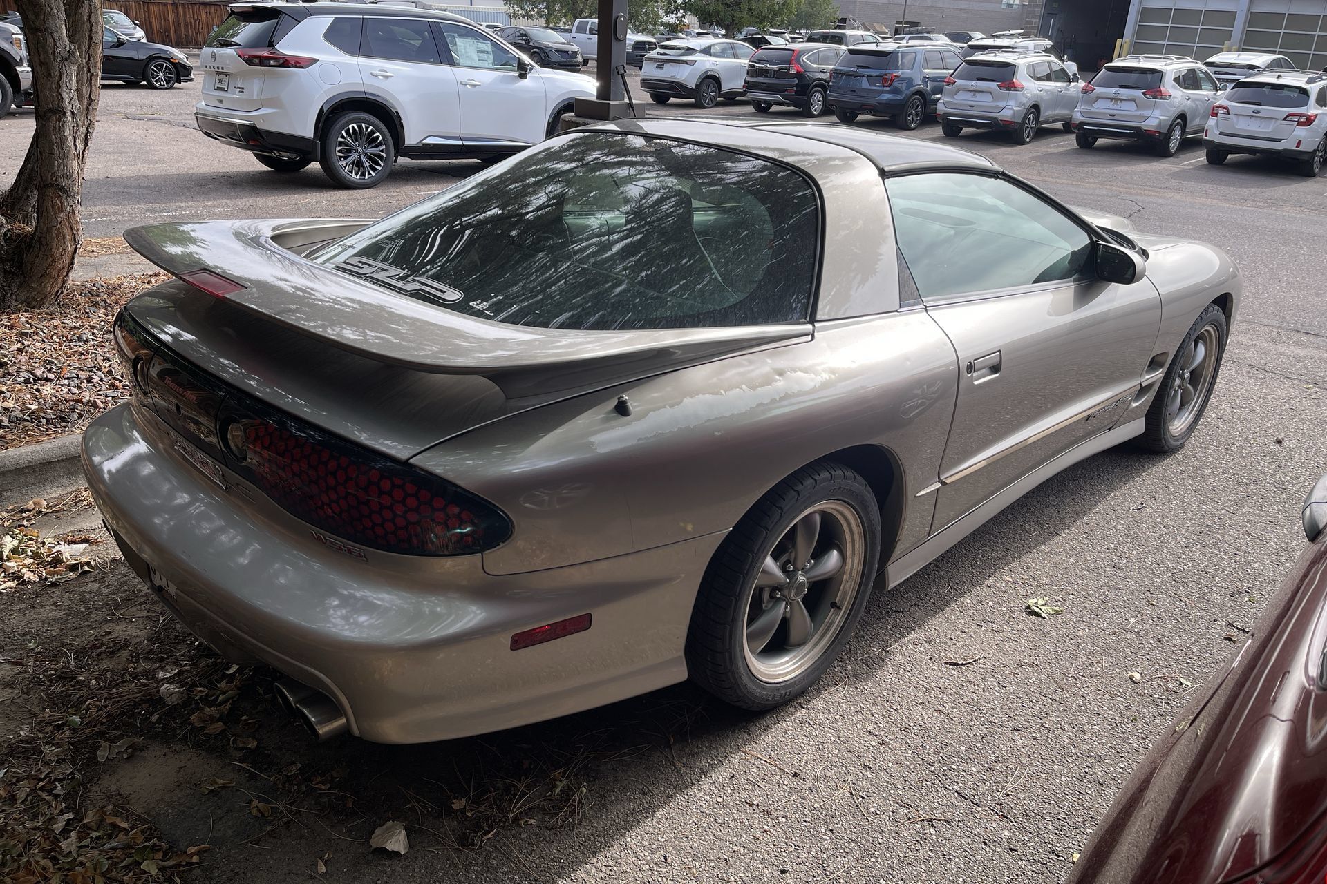 Used 2002 Pontiac Firebird Trans Am RWD image 3