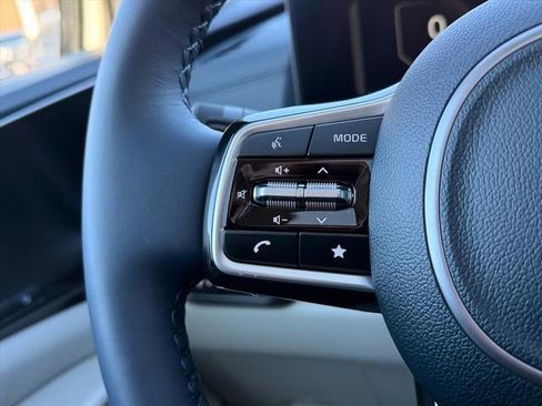 New 2026 Kia Carnival SX Prestige image 14