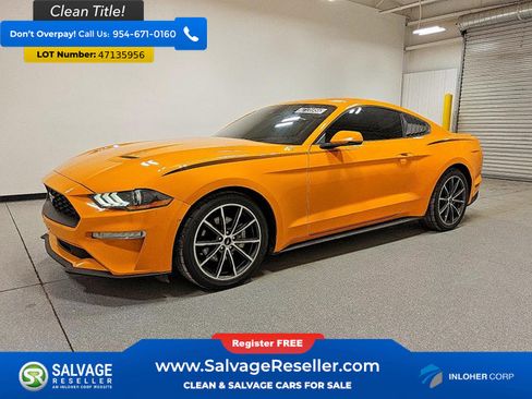 Used 2019 Ford Mustang Premium w/ Equipment Group 201A RWD image 1