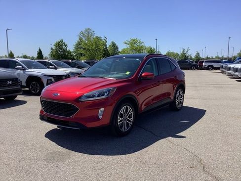 Used 2022 Ford Escape SEL FWD image 1