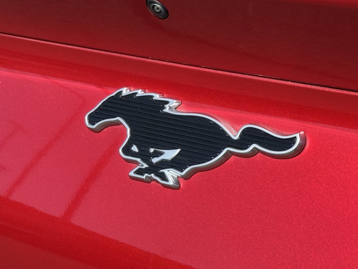 Used 2021 Ford Mustang Mach-E California Route 1 RWD image 15