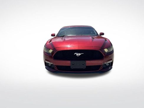 Used 2016 Ford Mustang Premium w/ Equipment Group 201A RWD image 3