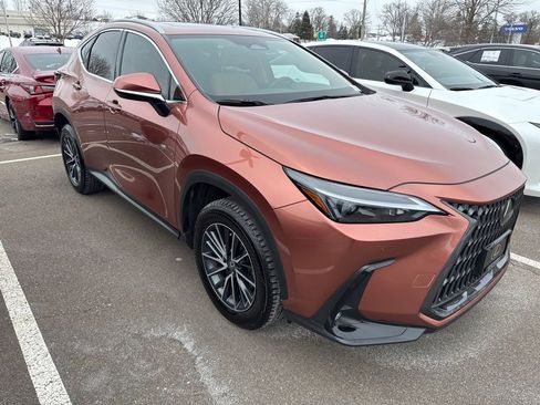 Used 2025 Lexus NX 350 350 Base w/ Accessory Package (2T) image 6
