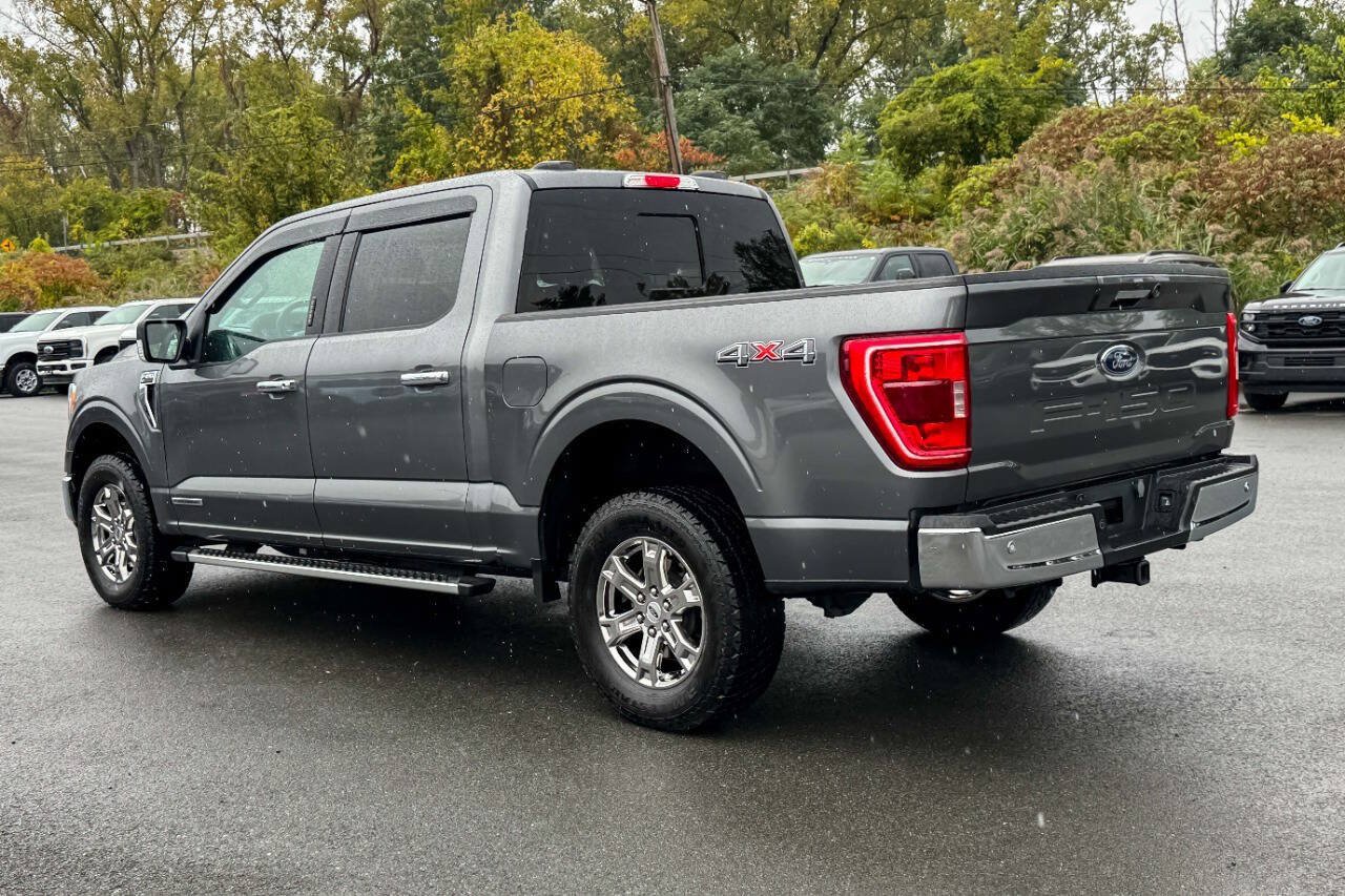 Used 2023 Ford F150 XLT w/ Equipment Group 302A High AWD/4WD image 5