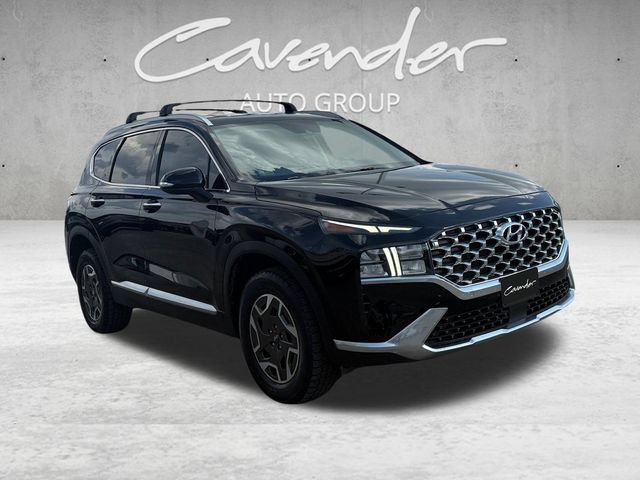 Used 2023 Hyundai Santa Fe Blue AWD/4WD image 2
