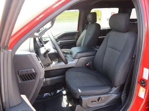 Used 2019 Ford F150 XLT w/ Equipment Group 302A Luxury AWD/4WD image 8