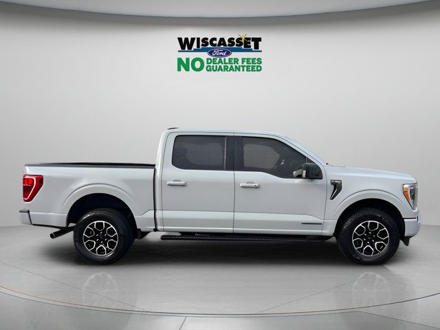 Used 2023 Ford F150 XLT w/ Equipment Group 302A High AWD/4WD image 6