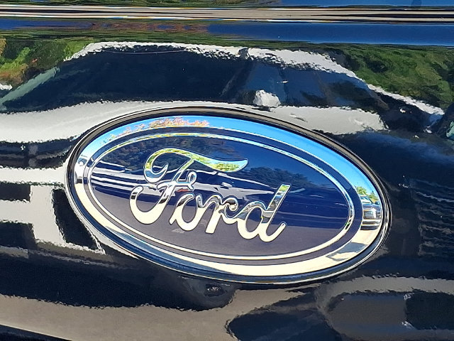 Used 2017 Ford F150 XLT w/ Equipment Group 302A Luxury AWD/4WD image 28