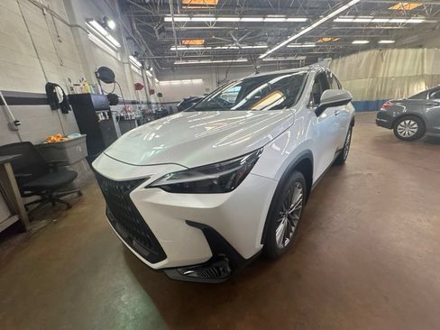 Used 2025 Lexus NX 350 AWD w/ Accessory Package (Z2) image 15