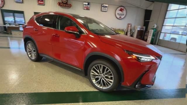 Used 2024 Lexus NX 350h AWD w/ Vision Package image 1