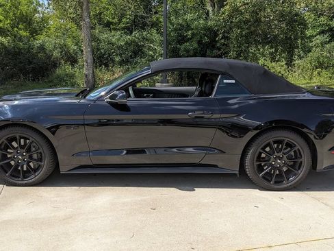 Used 2016 Ford Mustang GT Premium w/ Equipment Group 401A RWD image 6