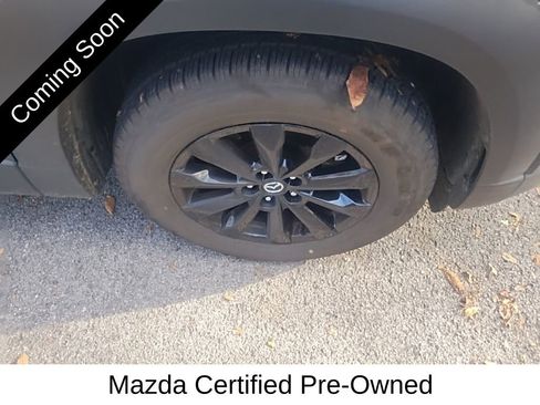 Certified 2023 MAZDA CX-50 2.5 S w/ Cargo Package image 12