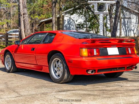 Used 1991 Lotus Esprit SE RWD image 6