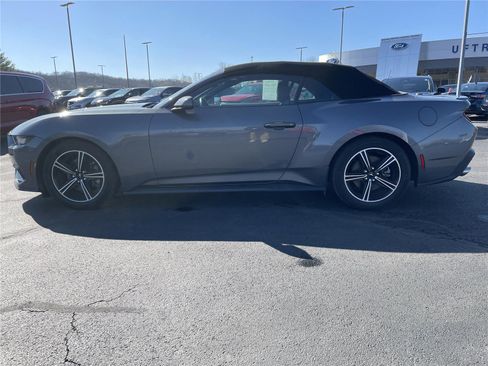 Used 2024 Ford Mustang Premium RWD image 2