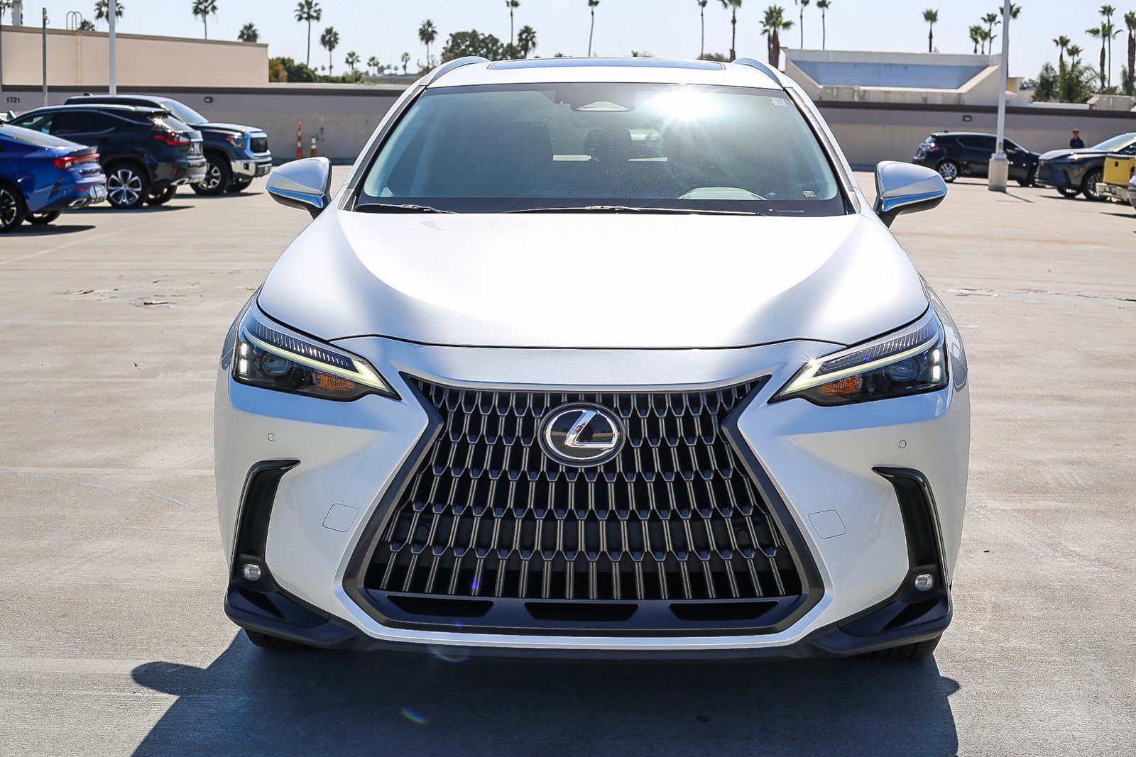 Used 2024 Lexus NX 350 AWD w/ Cold Area Package image 2