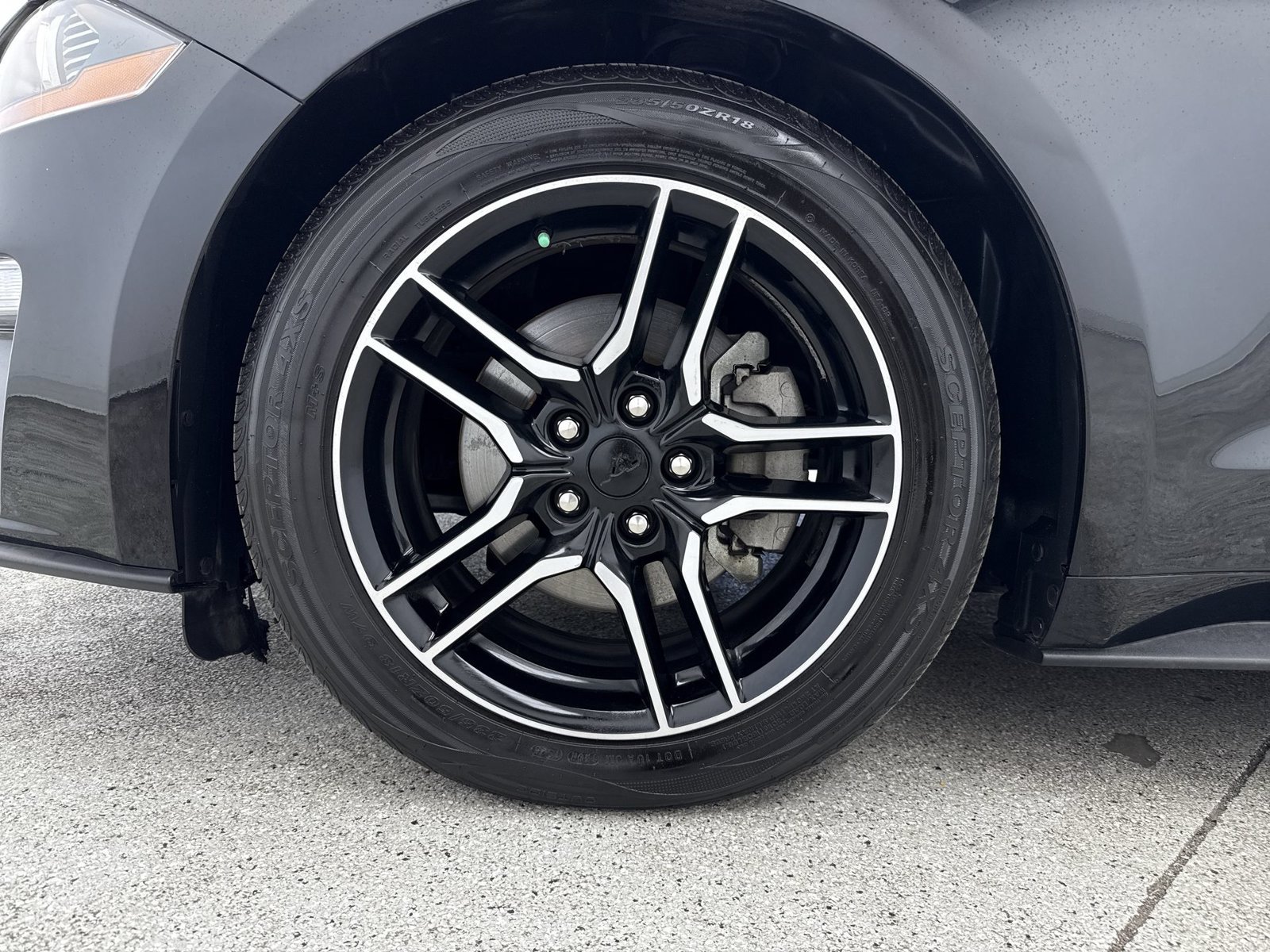 Used 2022 Ford Mustang Premium RWD image 42