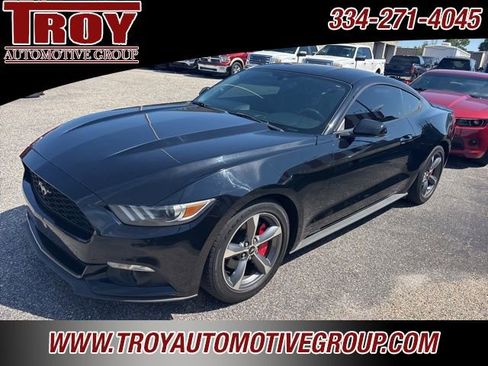 Used 2016 Ford Mustang Premium w/ Equipment Group 201A image 7