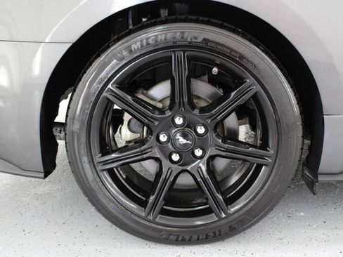 Used 2019 Ford Mustang GT w/ Equipment Group 301A RWD image 71