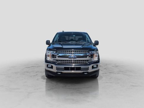 Used 2019 Ford F150 XLT w/ Equipment Group 302A Luxury AWD/4WD image 3
