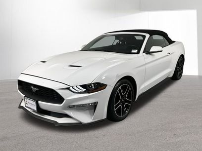 Used 2019 Ford Mustang Premium