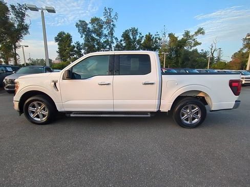 Used 2025 Ford F150 XLT w/ Equipment Group 301A Standard RWD image 7