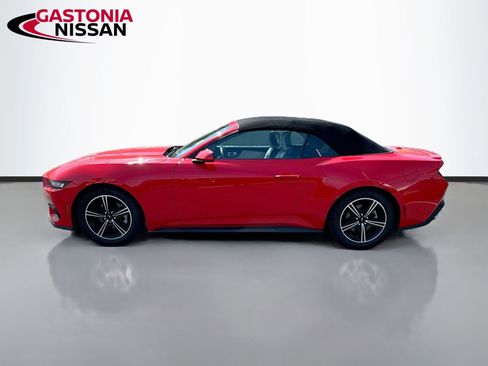 Used 2024 Ford Mustang Premium image 5