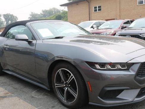 Used 2024 Ford Mustang Premium RWD image 3