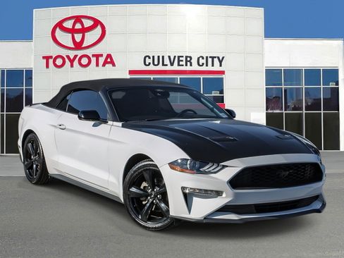 Used 2021 Ford Mustang EcoBoost w/ Equipment Group 101A image 1