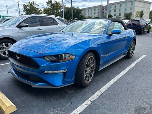 Used 2019 Ford Mustang Premium w/ Equipment Group 201A RWD image 1