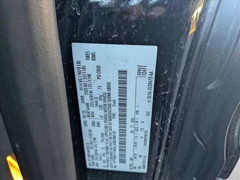 Used 2020 Ford Transit 250 Low Roof w/ Load Area Protection Package image 17