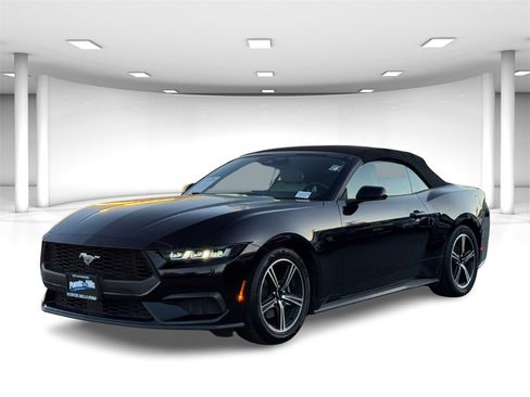 Certified 2024 Ford Mustang Premium image 2