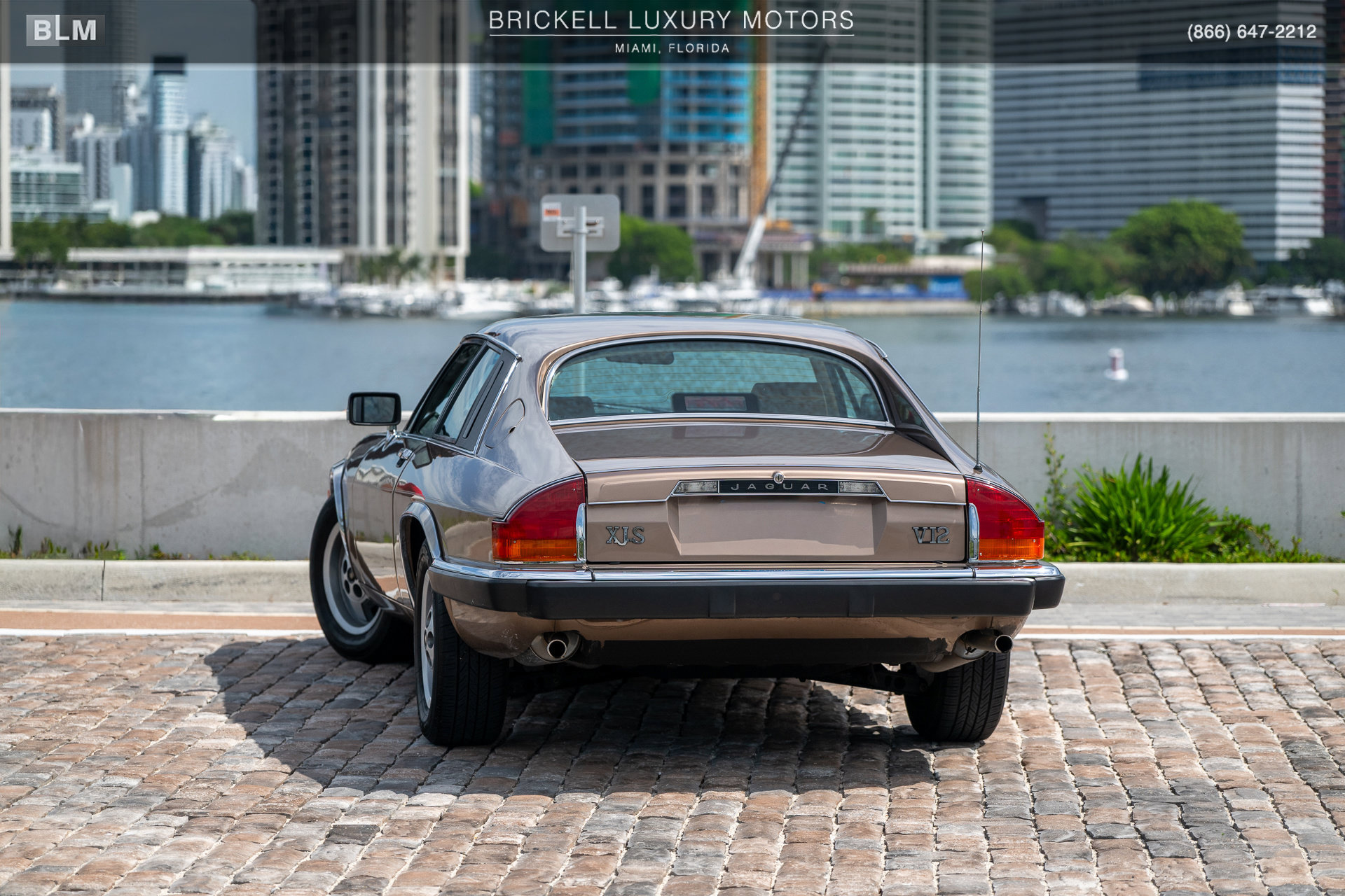 Used 1987 Jaguar XJS V12 Coupe RWD image 3