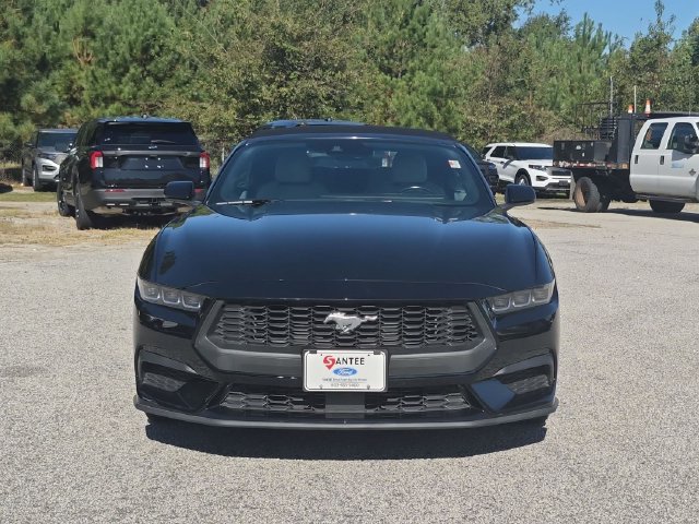 Used 2024 Ford Mustang Premium RWD image 8