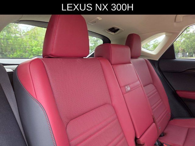 Used 2020 Lexus NX 300h AWD w/ Comfort Package image 14