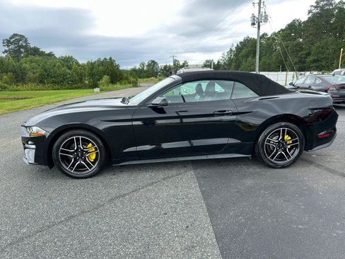Used 2019 Ford Mustang Premium RWD image 4
