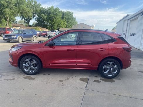 Used 2024 Ford Escape ST-Line w/ Tech Pack #1 AWD/4WD image 14
